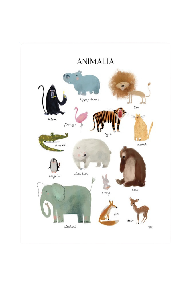 Lámina les animaux
