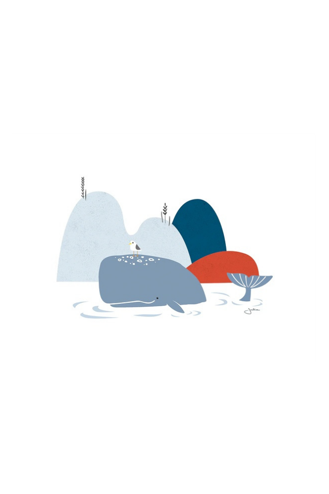Lámina baleine et rochers