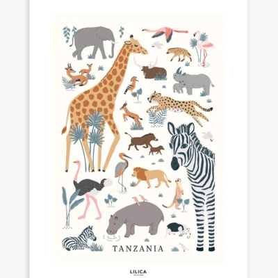 Lámina  les animaux sauvages