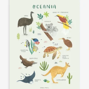 Lámina animaux de l'Océanie