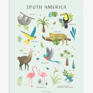 Lámina animaux Amérique du sud