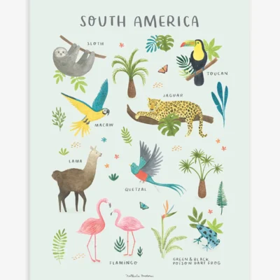 Lámina animaux Amérique du sud