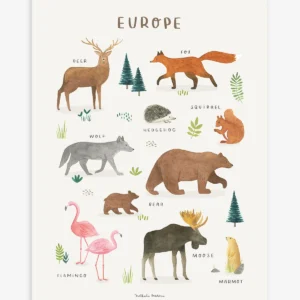 Lámina animaux d'Europe