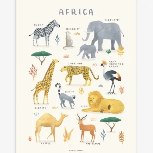 Lámina animaux d'Afrique