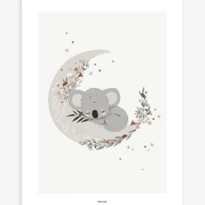 Lámina Koala endormi