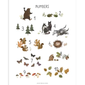 Lámina animaux des bois Chiffres