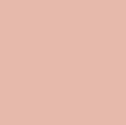 Pink palette