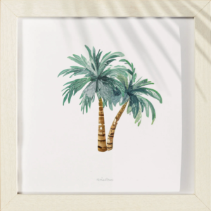 Lámina palmeras salinas