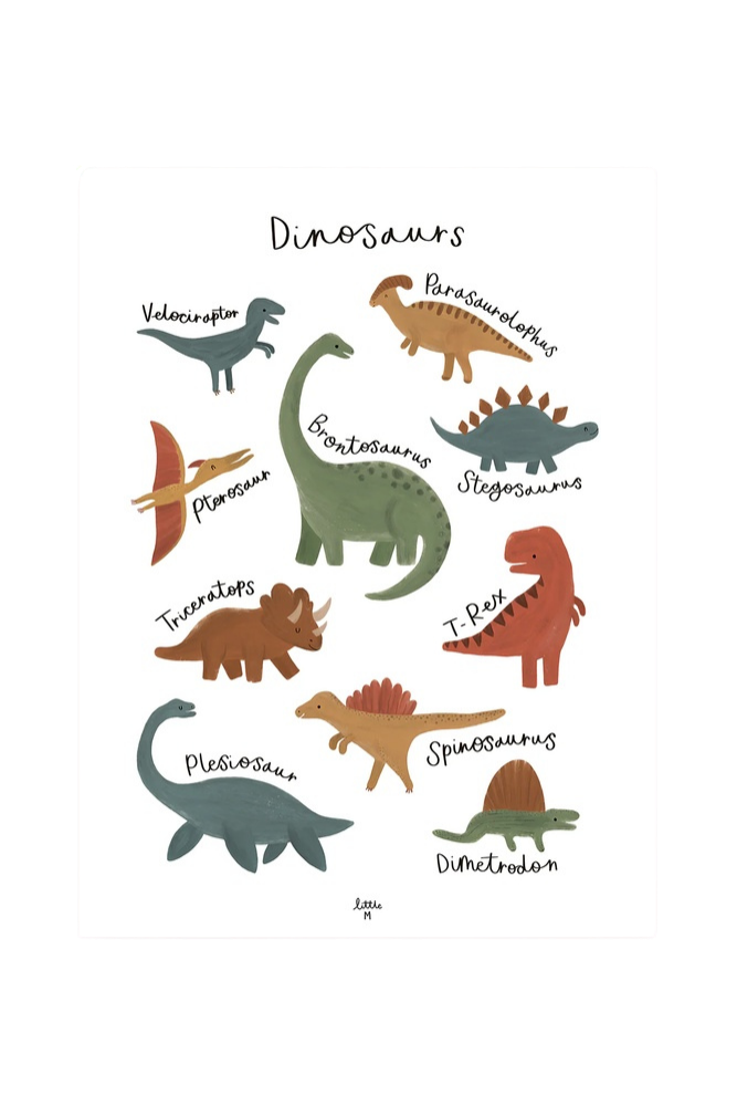 Lámina les espèces de dinosaures