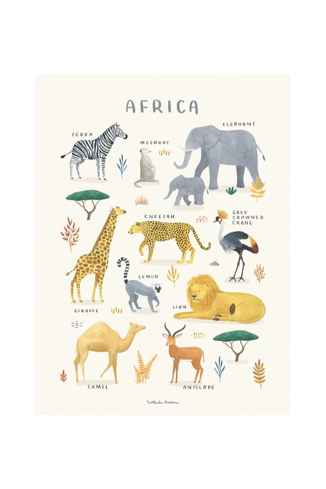 Lámina animaux d'Afrique