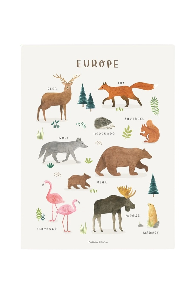 Lámina animaux d'Europe