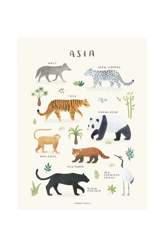 Lámina animaux d'Asie