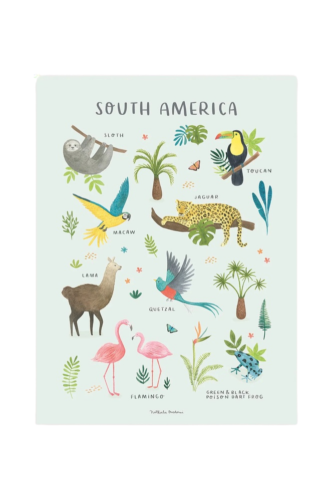 Lámina animaux Amérique du sud
