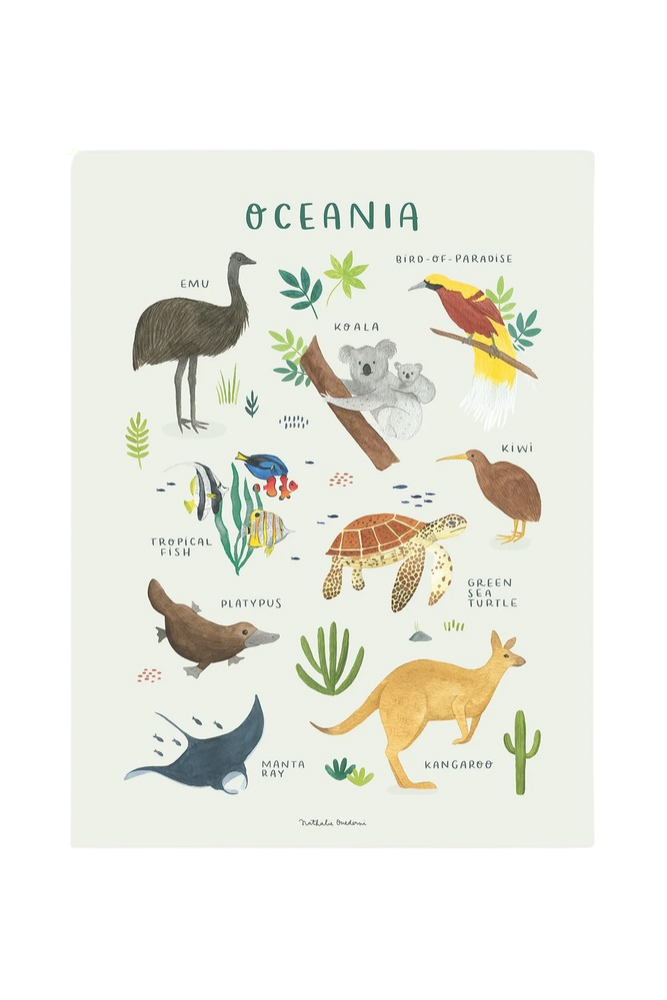 Lámina animaux de l'Océanie