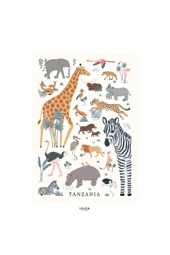 Lámina  les animaux sauvages