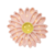 Powder Pink